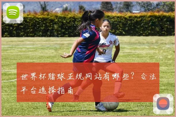 世界杯赌球正规网站有哪些?合法平台选择指南