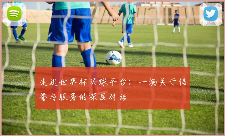 走进世界杯买球平台:一场关于信誉与服务的深度对话