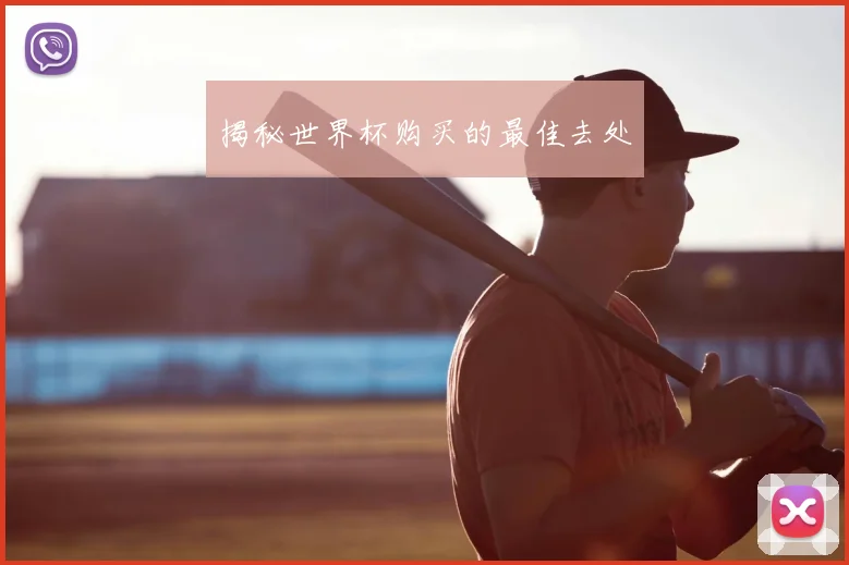 揭秘世界杯购买的最佳去处