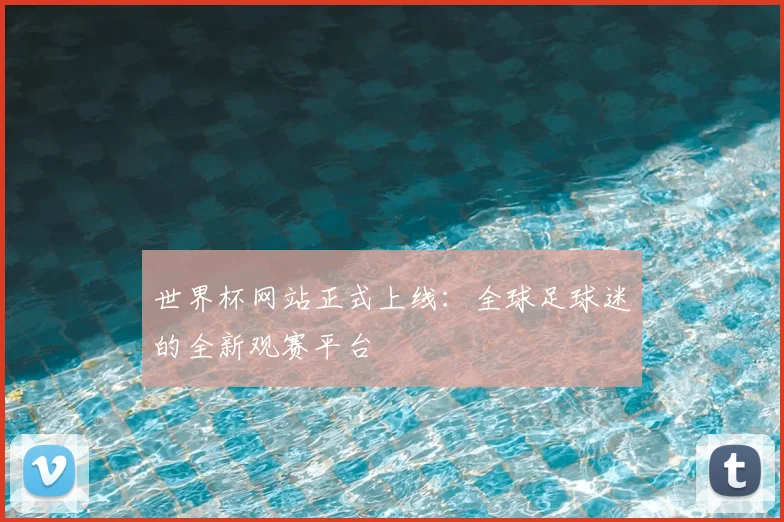 世界杯网站正式上线：全球足球迷的全新观赛平台