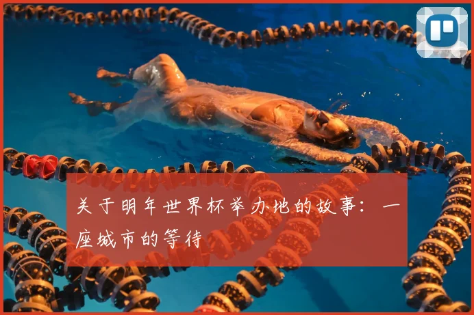 关于明年世界杯举办地的故事：一座城市的等待