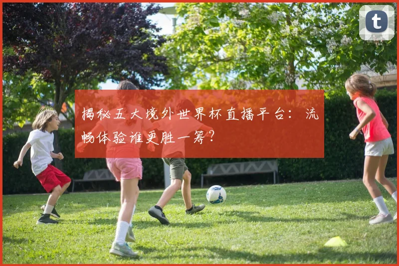 揭秘五大境外世界杯直播平台：流畅体验谁更胜一筹？