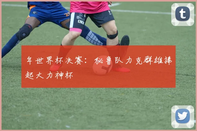 年世界杯决赛:秘鲁队力克群雄捧起大力神杯