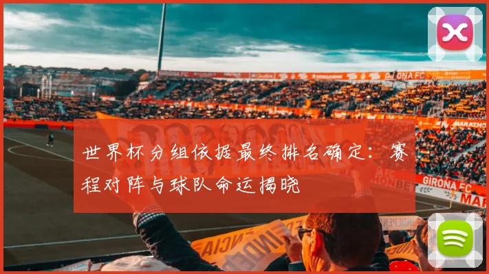 世界杯分组依据最终排名确定:赛程对阵与球队命运揭晓