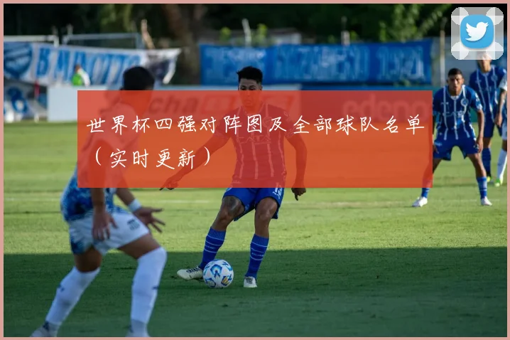 世界杯四强对阵图及全部球队名单（实时更新）